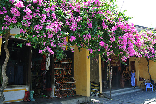 hoian-4