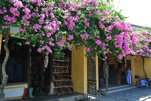 hoian-4